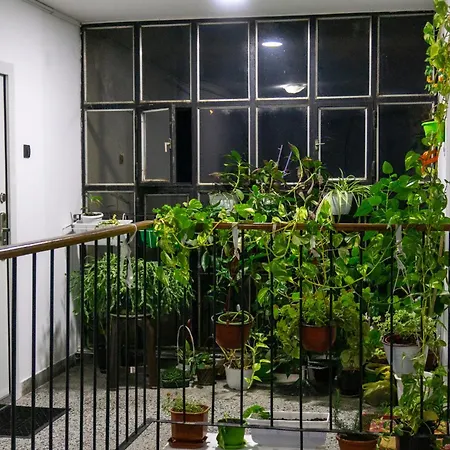 Apartment-horizont 47